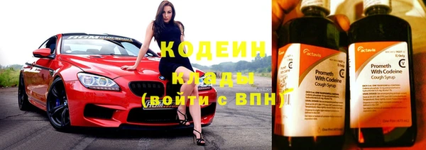 дурь Гусиноозёрск