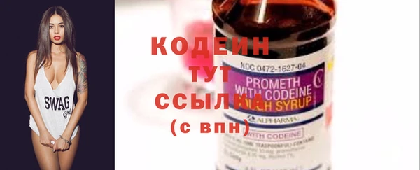 крисы Елабуга