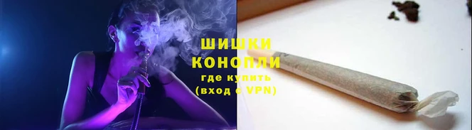 ГАЛЛЮЦИНОГЕННЫЕ ГРИБЫ Елизово