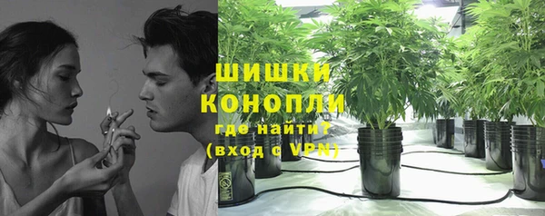 крисы Елабуга