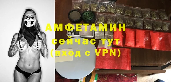 крисы Елабуга
